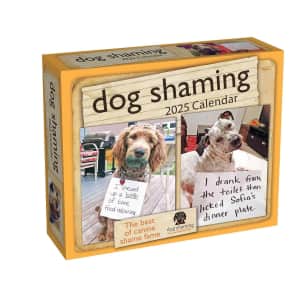 Dog Shaming 2025 Day-to-Day Calendar: $8.99
