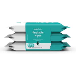 Amazon Basics Flushable Wet Wipes 126-Pack: $4.58