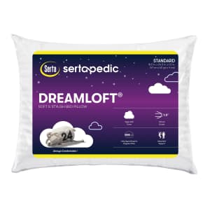 Sertapedic Dreamloft Bed Pillow: $5