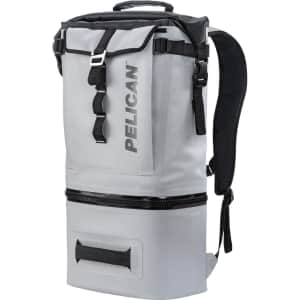 Pelican Dayventure 19-Quart Backpack Carry Cooler: $90 in-cart Pelican Dayventure 19-Quart Backpack Carry Cooler: $90 in-cart