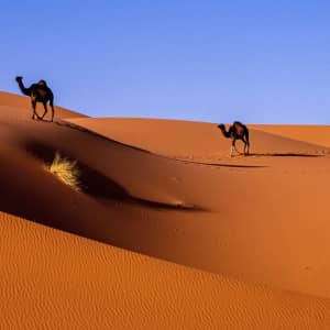 2-Week Morocco & Sahara Camp Small Group Hotel & Tour Vacation: From $1,699 per person 2-Week Morocco & Sahara Camp Small Group Hotel & Tour Vacation: From $1,699 per person
