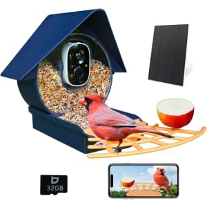 Birdkiss Smart Bird Feeder with Camera: $50