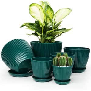 Indoor Plant Pot 6-Pack: $10 Indoor Plant Pot 6-Pack: $10