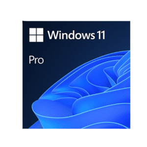 Microsoft Windows 11 Pro: $13
