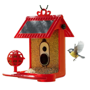 Hello Birdie Smart Solar Bird Feeder Kit: $50