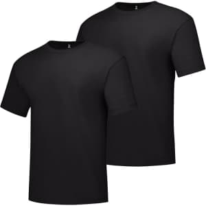 Hanes Men's Beefy-T Heavyweight T-Shirt 2-Pack: $11