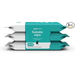 Amazon Basics Flushable Wet Wipes 126-Pack: $4