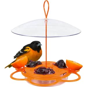 Nature's Way All-in-One Oriole Buffet Bird Feeder: $2.05 Nature's Way All-in-One Oriole Buffet Bird Feeder: $2.05