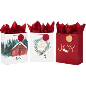 Hallmark 13" Large Christmas Gift Bag Assortment with Tissue Paper: $4.99
