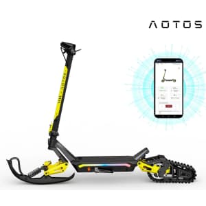 Winter eScooter Ski Kit: $367
