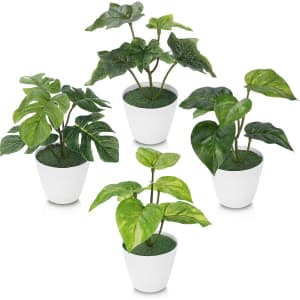 Forest Prince Mini Potted Artifical Plants 4-Pack: $6 Forest Prince Mini Potted Artifical Plants 4-Pack: $6