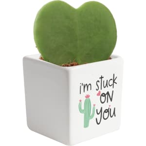 Costa Farms Hoya Heart Live Plant: $16.35