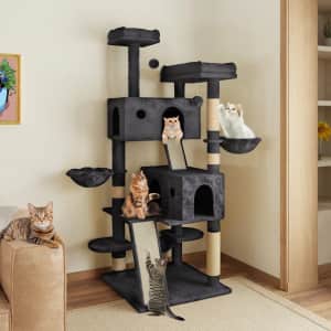 Archie & Oscar Filey Cat Tree w/ Condos and Scratching Posts: $100 Archie & Oscar Filey Cat Tree w/ Condos and Scratching Posts: $100