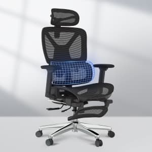 Flexispot ErgoX Premium Ergonomic Office Chair: $250 w/ Prime
