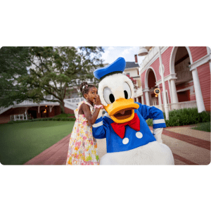 Walt Disney World Resort Deals at Priceline: Up to 25% off
