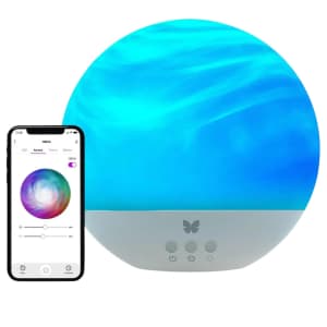 BlissLights H2Orb Waterproof Outdoor LED Ball: $20