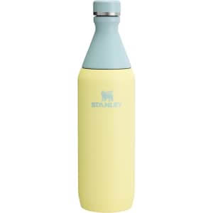 Stanley All Day Slim 20-oz. Bottle: $19.97