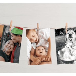 CVS 8x10 Photo: Free