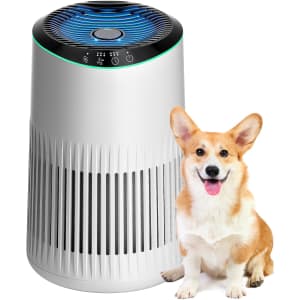 Meronte Air Purifier with Fragrance Sponge: $21.99