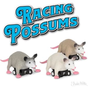 Accoutrements Racing Possums 3-Piece Set: $9.99