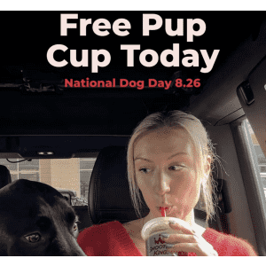 Smoothie King Pup Cup: Free today for National Dog Day Smoothie King Pup Cup: Free today for National Dog Day