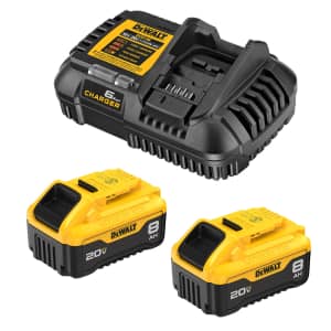 DeWalt 20V Lithium-ion Battery and Charger 2-Pack: $149