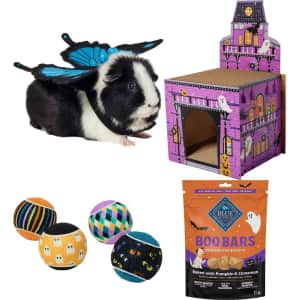 Chewy Halloween Pet Shop: Scary-Good Deals
