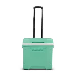 Igloo Coolers at Target: 15% off
