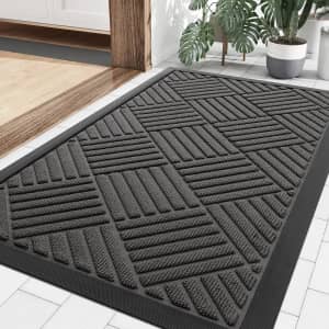 Smiry 29.5" x 17" Doormat: $8.49