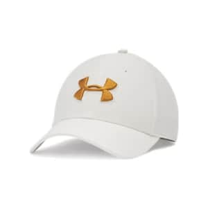 Under Armour Men's UA Blitzing 3.0 Cap: $13