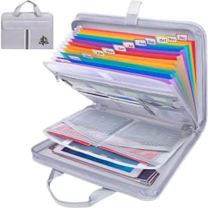 Baleine Fireproof Document Organizer: $21