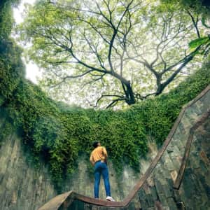 20-Night 4-Country Southeast Asia Flight, Hotel, and Tour Vacation: From $1,999 per person