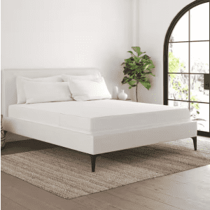 Becky Cameron Premium Queen Mattress Protector: $28