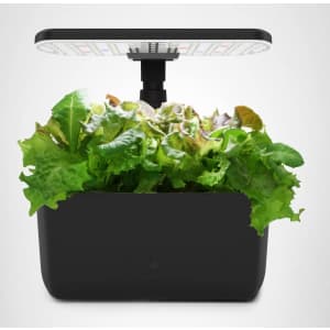 Amazon Holiday Sale Gardening & Lawn Care Deals: Up to 45% off Amazon Holiday Sale Gardening & Lawn Care Deals: Up to 45% off