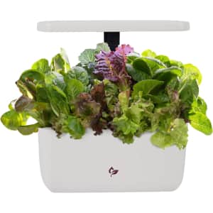 AeroGarden Harvest 2.0, Indoor Garden Hydroponic System: $44