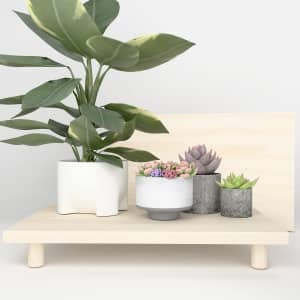 Haihomebest Solid Wood Plant Stand: $7.49