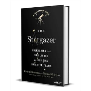 "The Stargazer: Unleashing the Brilliance of Building Brighter Teams" eBook: Free