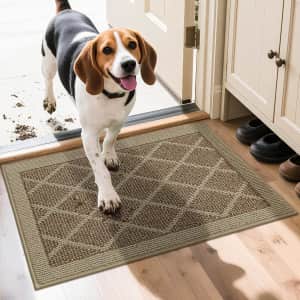 Cosy Homeer Non-Slip 20"x32" Entryway Doormat: $13.99