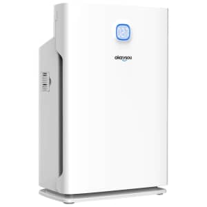 Okaysou Airmax 10L Plus Air Purifier: $80
