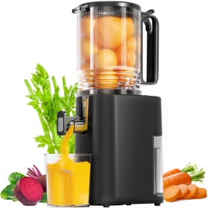 Cold Press Juicer: $76