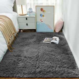 Ophanie 4x6ft Area Rug: $10 w/ Prime