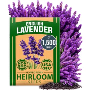 1,500+ English Lavender Seeds: $6.74 1,500+ English Lavender Seeds: $6.74