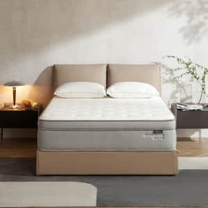 Epitex 14" Silverluxe Elite Queen Hybrid Mattress: $455 w/ Prime Epitex 14" Silverluxe Elite Queen Hybrid Mattress: $455 w/ Prime