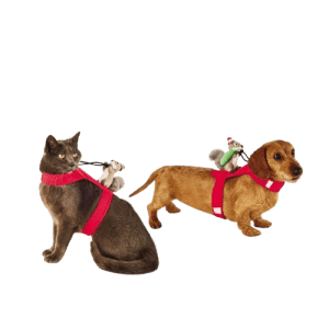 Target Pet Care Deals: Extra $5 off $25