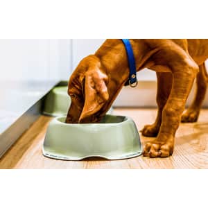 Petco Tasting Event: Free in-store samples on Sep 27