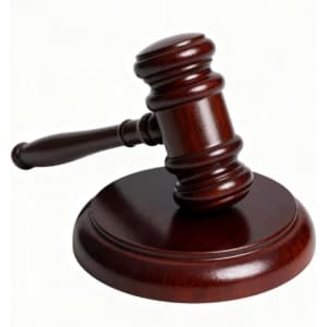 Gavel and Sound Block Set: $11