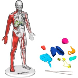 Discovery Mindblown 3D Human Anatomy 28-Piece Biology Model: $12.67