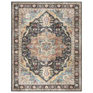 Samira Tiefi Multi Traditional Medallion 5x7 Indoor Area Rug: $35