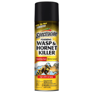 Spectracide 14-oz. Foaming Wasp & Hornet Killer: $4.77