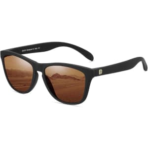 DUCO Retro Round Polarized Sunglasses: $12